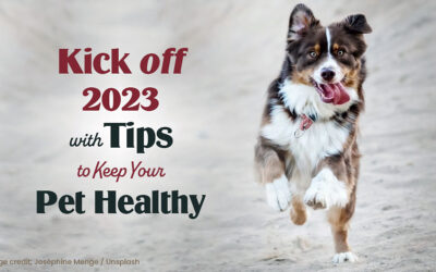 Kick-off 2023 with Tips to Keep Your Pet Healthy