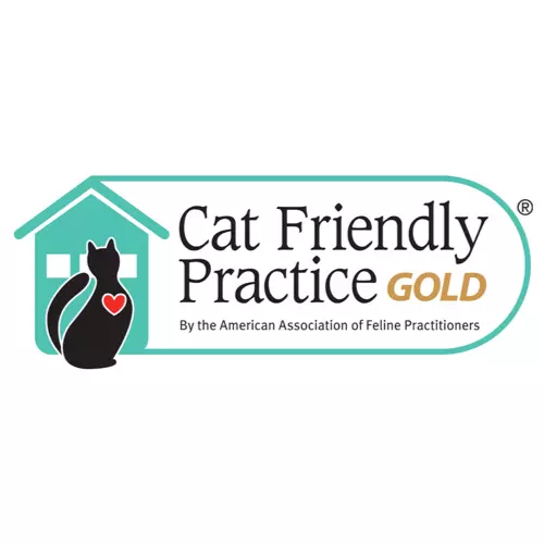 Walker Hometown Animal Care is a cat friendly practice.
