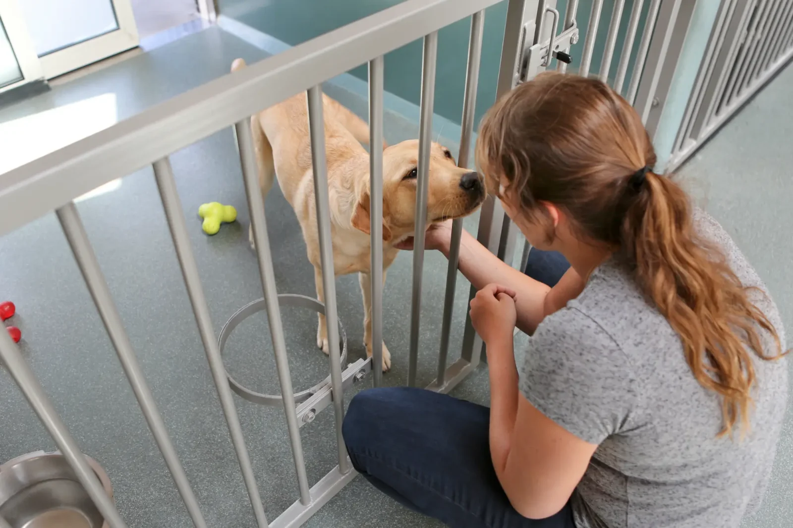 A young woman petting a dog in a dog boarding enclosure.
