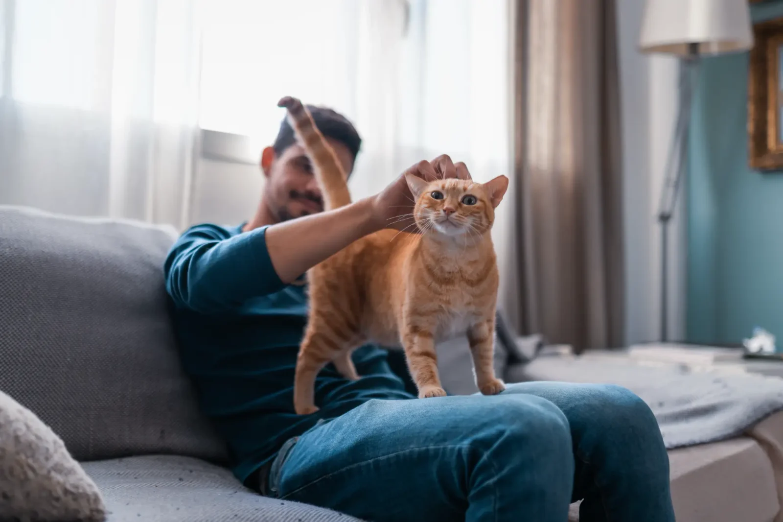 A young man sitting on a couch with an orange cat standing on him.